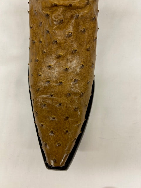 Old Gringo - M147-218  Full Quill Ostrich  13"